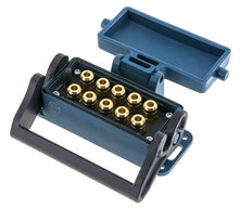 Messing Meervoudige Koppeling Snelkoppeling 10x6 mm Push-in-aansluitingen Loskoppelbeveiliging