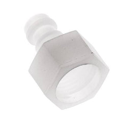 PVDF DN 5 Koppeling Insteeknippel G 1/4 inch Binnendraad