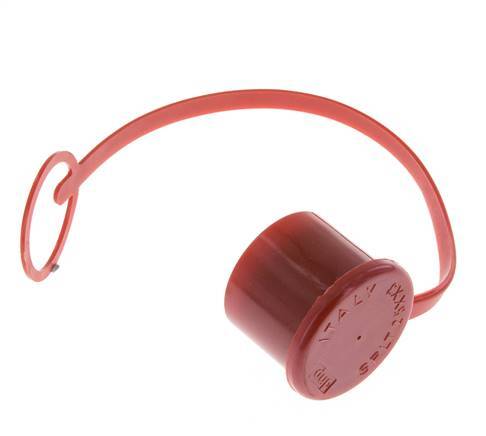 30 mm Kunststof Stofbeschermingskap voor insteeknippel met ketting [2 Stuks]