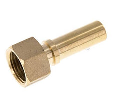 13 mm (1/2'') & G1/2'' Brass Hose Barb Union Nut Flat Sealing Polyurethane Safety collars EN 14420-5 (DIN 2817)