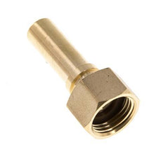 13 mm & G1/2'' Messing Slangpilaar Wartelmoer Vlakke Polyurethaan (PU) Afdichting en Veiligheidskraag EN 14420-5 (DIN 2817)