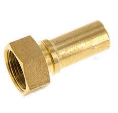 19 mm & G3/4'' Messing Slangpilaar Wartelmoer Vlakke Polyurethaan (PU) Afdichting en Veiligheidskraag EN 14420-5 (DIN 2817)