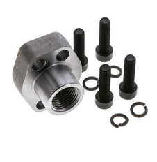 1/2'' SAE Flens 3000 psi Blank staal met G1/2'' Binnendraad ISO 6162-1
