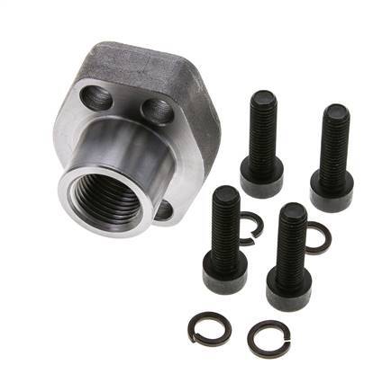 1/2'' SAE Flens 3000 psi Blank staal met G1/2'' Binnendraad ISO 6162-1