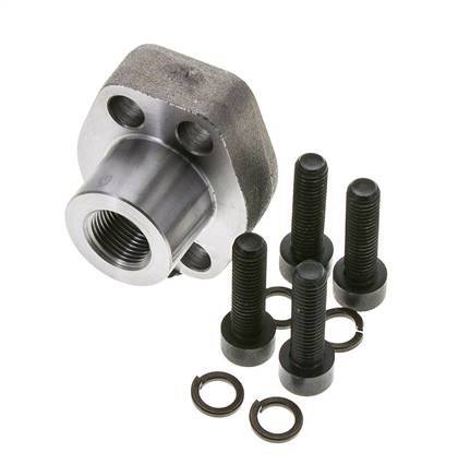 1/2'' SAE Flens 3000 psi Blank staal met G3/8'' Binnendraad ISO 6162-1