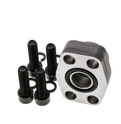 3/4'' SAE Flens 3000 psi Blank staal met G3/4'' Binnendraad ISO 6162-1