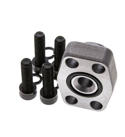 3/4'' SAE Flens 3000 psi Blank staal met G1/2'' Binnendraad ISO 6162-1