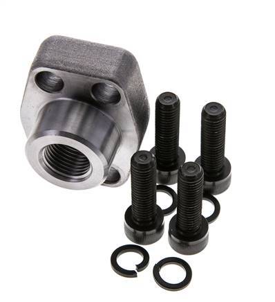 3/4'' SAE Flens 3000 psi Blank staal met G1/2'' Binnendraad ISO 6162-1