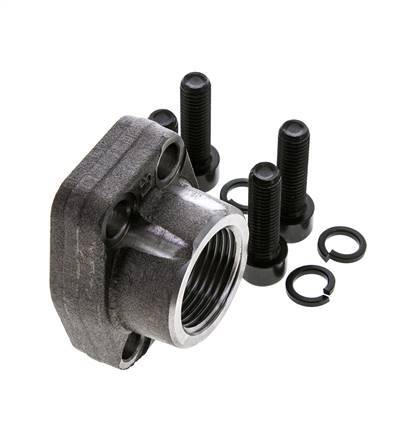 1'' SAE Flens 3000 psi Blank staal met G1'' Binnendraad ISO 6162-1