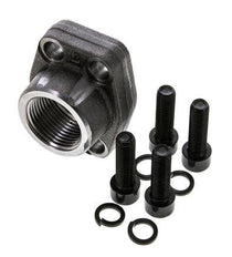 1'' SAE Flens 3000 psi Blank staal met G1'' Binnendraad ISO 6162-1