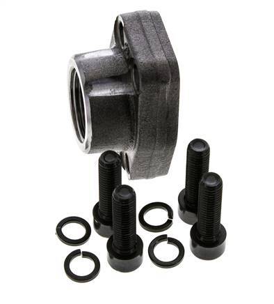 1'' SAE Flens 3000 psi Blank staal met G1'' Binnendraad ISO 6162-1