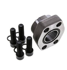 1-1/4'' SAE Flens 3000 psi Blank staal met G1-1/4'' Binnendraad ISO 6162-1