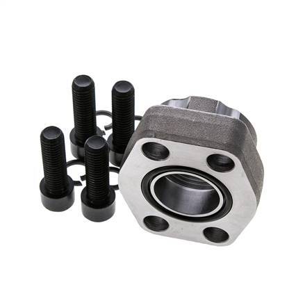 1-1/4'' SAE Flens 3000 psi Blank staal met G1-1/4'' Binnendraad ISO 6162-1