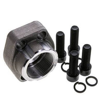 1-1/4'' SAE Flens 3000 psi Blank staal met G1-1/4'' Binnendraad ISO 6162-1