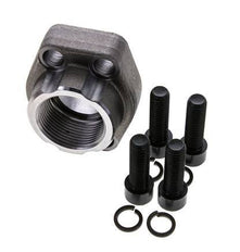 1-1/4'' SAE Flens 3000 psi Blank staal met G1-1/4'' Binnendraad ISO 6162-1