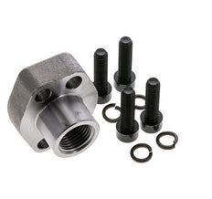 1/2'' SAE Flens 6000 psi Blank staal met G1/2'' Binnendraad ISO 6162-2
