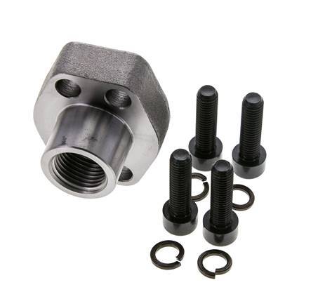 1/2'' SAE Flens 6000 psi Blank staal met G1/2'' Binnendraad ISO 6162-2