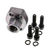 1/2'' SAE Flens 6000 psi Blank staal met G1/2'' Binnendraad ISO 6162-2
