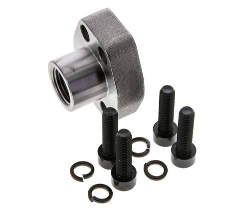 1/2'' SAE Flens 6000 psi Blank staal met G1/2'' Binnendraad ISO 6162-2