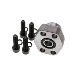 1/2'' SAE Flens 6000 psi Blank staal met G1/2'' Binnendraad ISO 6162-2