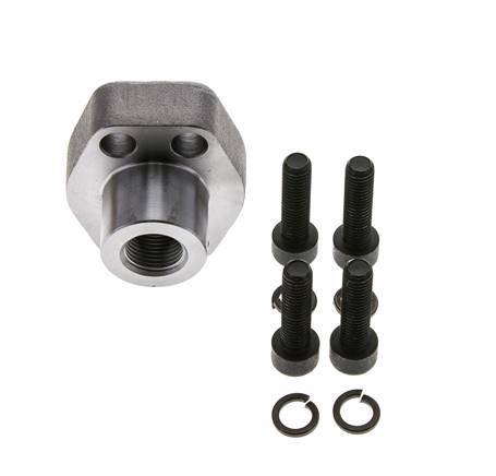 1/2'' SAE Flens 6000 psi Blank staal met G3/8'' Binnendraad ISO 6162-2