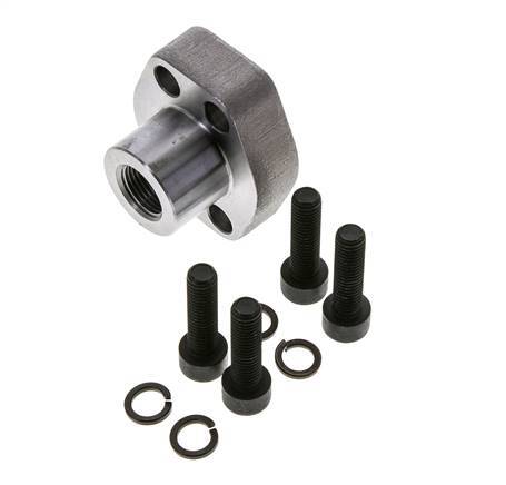 1/2'' SAE Flens 6000 psi Blank staal met G3/8'' Binnendraad ISO 6162-2