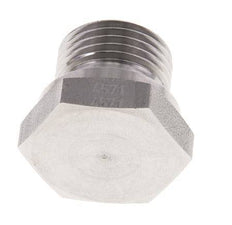 Plug G1/2'' RVS met Externe Hex 60° conus 300bar (4215.0psi) Hydrauliek