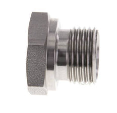 Plug G1/2'' RVS met Externe Hex 60° conus 300bar (4215.0psi) Hydrauliek