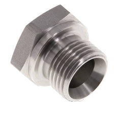 Plug G1/2'' RVS met Externe Hex 60° conus 300bar (4215.0psi) Hydrauliek