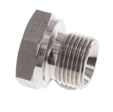 Plug G3/8'' RVS met buitenzeskant 60° conus 425 bar (5971.25psi) Hydrauliek
