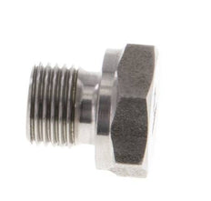 Plug G1/8'' RVS met buitenzeskant 60° conus 575 bar (8078.75psi) Hydrauliek