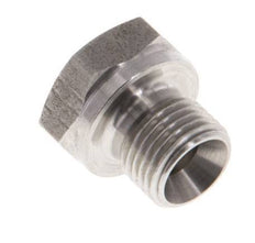 Plug G1/8'' RVS met buitenzeskant 60° conus 575 bar (8078.75psi) Hydrauliek