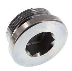 Plug M42 X 2 Staal NBR met binnenzeskant 250 bar (3512.5psi)
