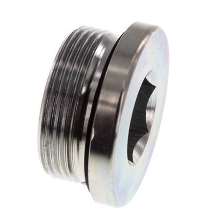 Plug M42 X 2 Staal NBR met binnenzeskant 250 bar (3512.5psi)