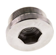 Plug M42 X 2 RVS FKM met binnenzeskant 250 bar (3512.5psi)