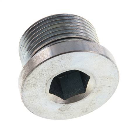 Plug M26 X 1.5 Staal NBR met binnenzeskant 400bar (5620.0psi)