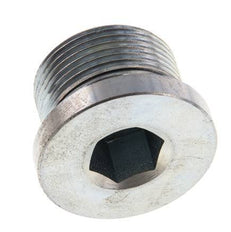Plug M26 X 1.5 Staal NBR met binnenzeskant 400bar (5620.0psi)