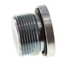 Plug M26 X 1.5 Staal NBR met binnenzeskant 400bar (5620.0psi)