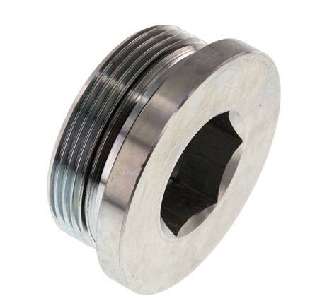 Plug M48 X 2 Staal NBR met binnenzeskant 250 bar (3512.5psi)