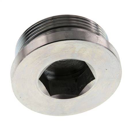 Plug M48 X 2 Staal NBR met binnenzeskant 250 bar (3512.5psi)