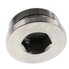 Plug M48 X 2 Staal NBR met binnenzeskant 250 bar (3512.5psi)