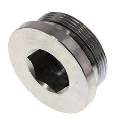 Plug M48 X 2 Staal NBR met binnenzeskant 250 bar (3512.5psi)