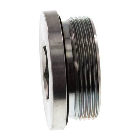 Plug M48 X 2 Staal NBR met binnenzeskant 250 bar (3512.5psi)