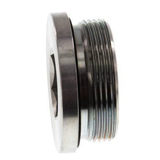 Plug M48 X 2 Staal NBR met binnenzeskant 250 bar (3512.5psi)