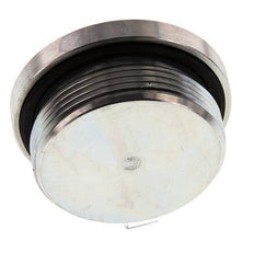 Plug M48 X 2 Staal NBR met binnenzeskant 250 bar (3512.5psi)