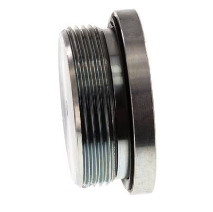 Plug M48 X 2 Staal NBR met binnenzeskant 250 bar (3512.5psi)