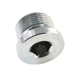 Plug M24 X 1.5 Staal FKM met binnenzeskant 400 bar (5620.0psi)