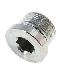 Plug M24 X 1.5 Staal FKM met binnenzeskant 400 bar (5620.0psi)