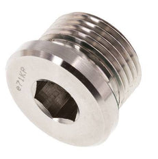 Plug M27 X 2 RVS FKM met binnenzeskant 400 bar (5620.0psi)