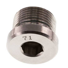 Plug M22 X 1.5 RVS FKM met binnenzeskant 400 bar (5620.0psi)